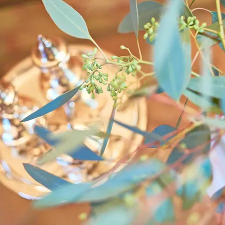 Apartment Haus Gode Tied - Apt. 01